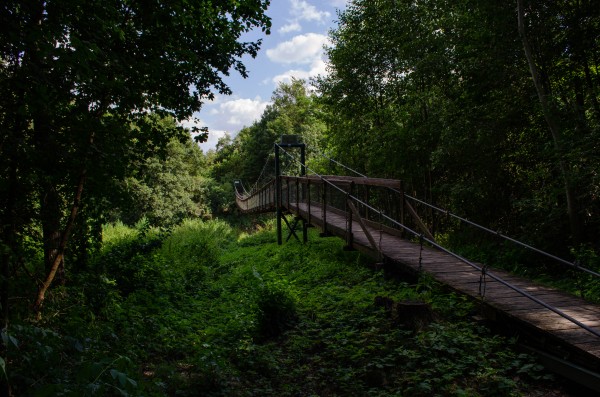 Lipinská lávka v národním parku Podyjí