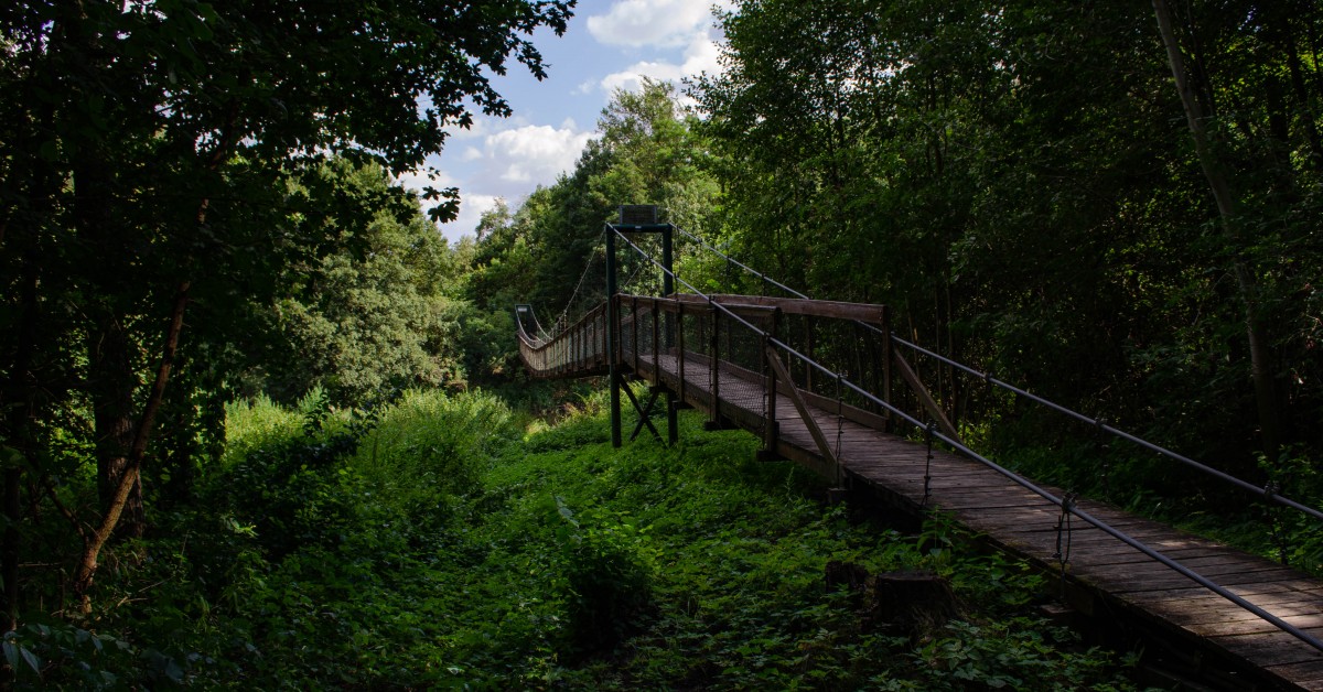 Lipinská lávka v národním parku Podyjí