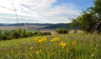 Medlánecké kopce