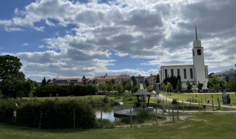 Park Kraví hora v Brně