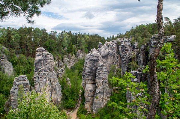 Prachovské skály
