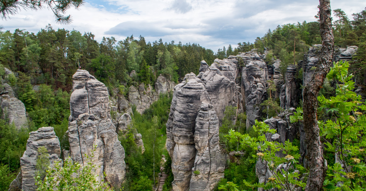 Prachovské skály