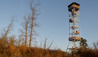 Rozhledna U Lidušky u Bílovic nad Svitavou