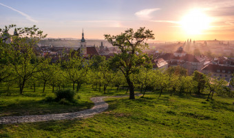 Seminářská zahrada