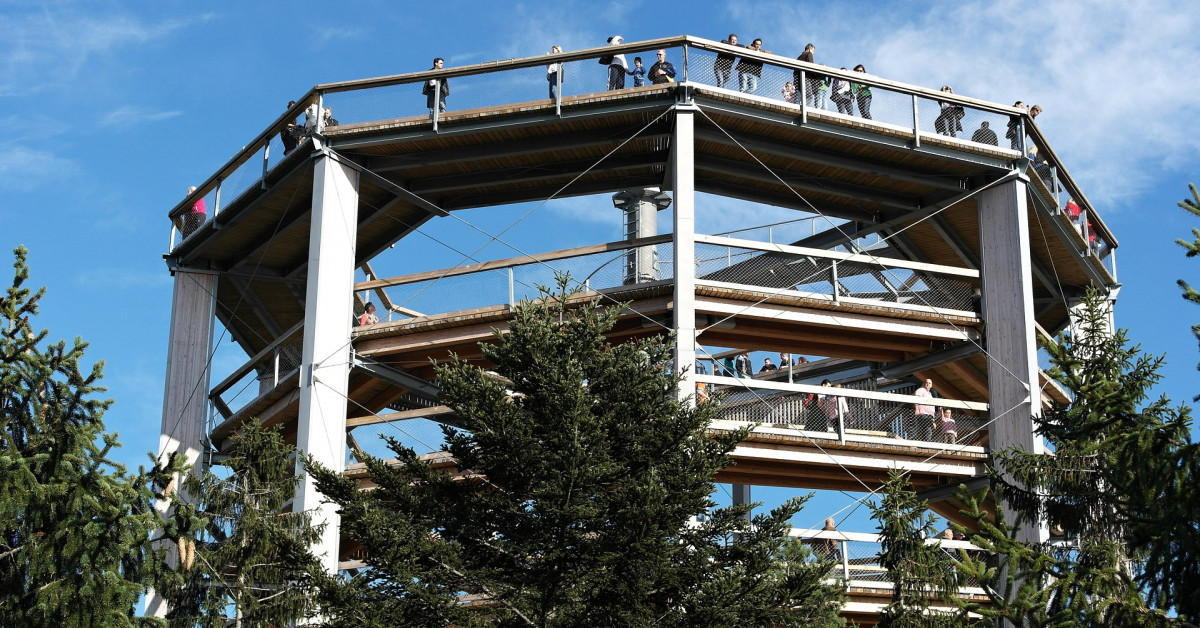 Stezka korunami stromů Lipno