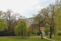 Zahrada vily Tugendhat