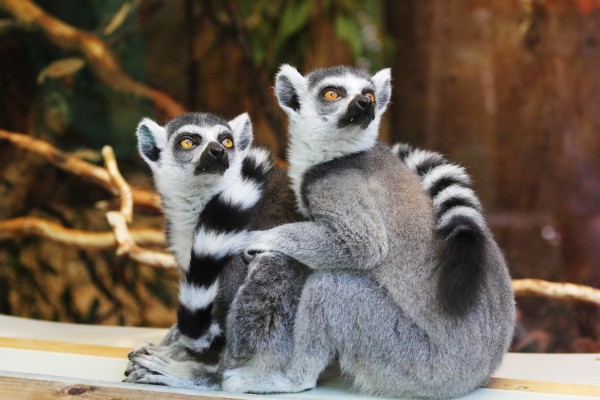 Zoo Chleby