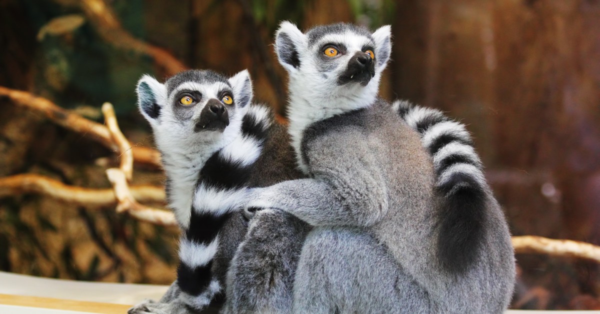 Zoo Chleby