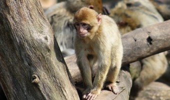 Zoo Chomutov
