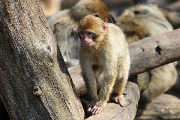 Zoo Chomutov