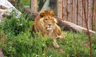 Zoo Hodonín