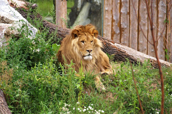 Zoo Hodonín
