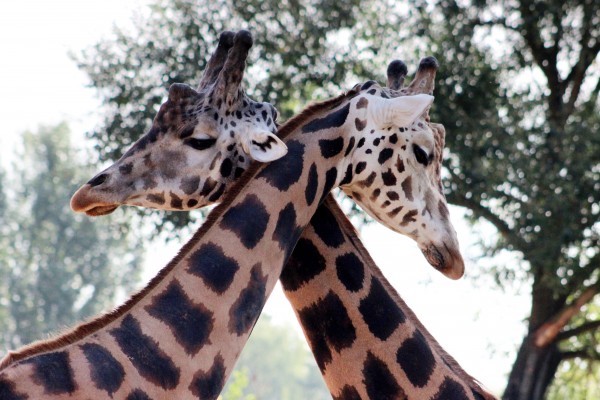 Zoo Jihlava