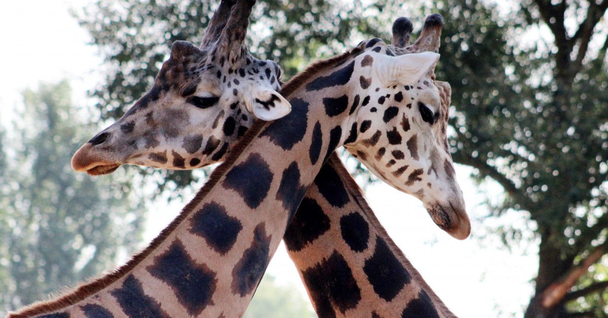 Zoo Jihlava