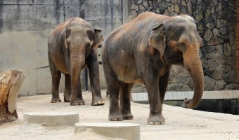 Zoo Liberec