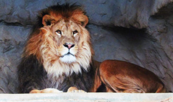 Zoo Olomouc