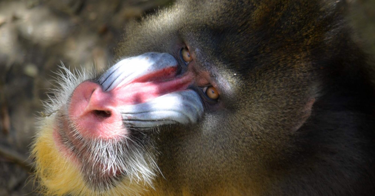 Zoo Ostrava