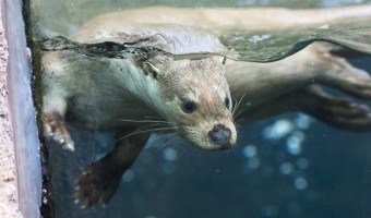 Zoo Plzeň