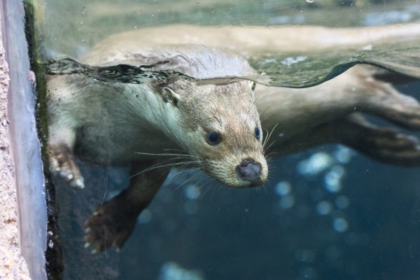Zoo Plzeň