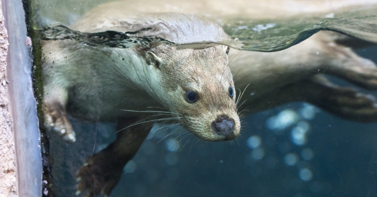 Zoo Plzeň