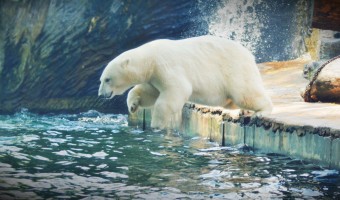 Zoo Praha