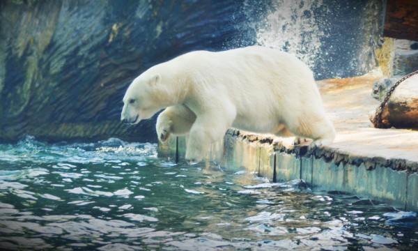 Zoo Praha