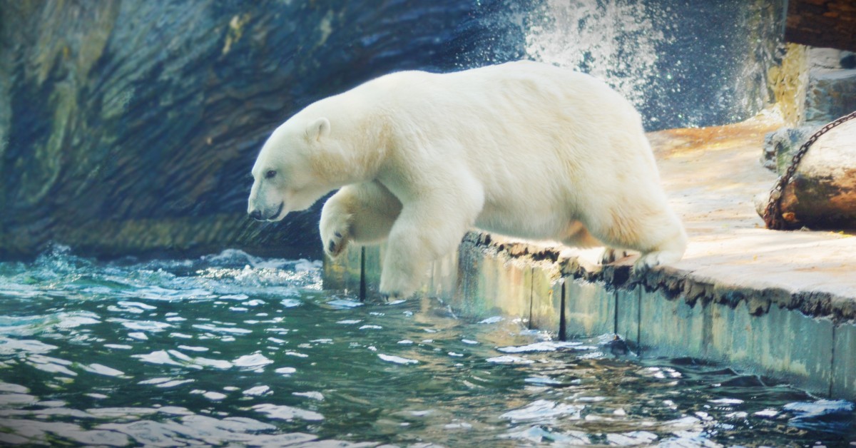 Zoo Praha