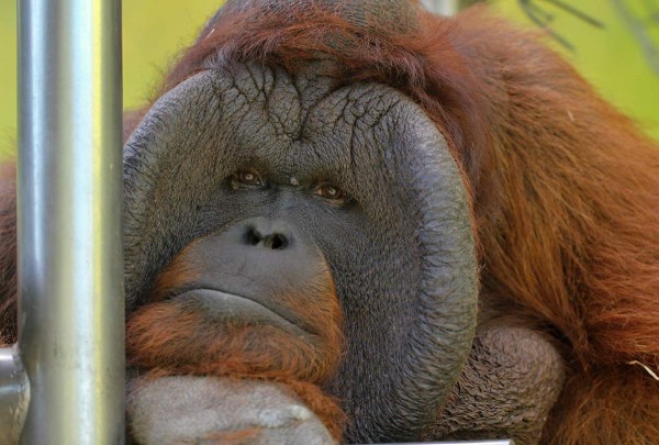 Zoo Ústí nad Labem