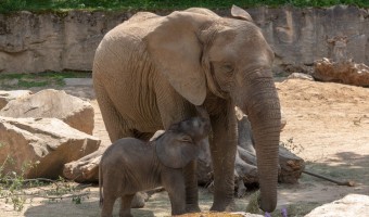 Zoo Zlín
