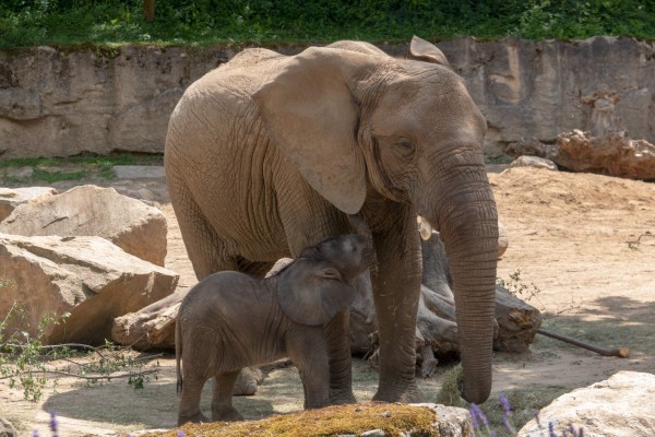 Zoo Zlín