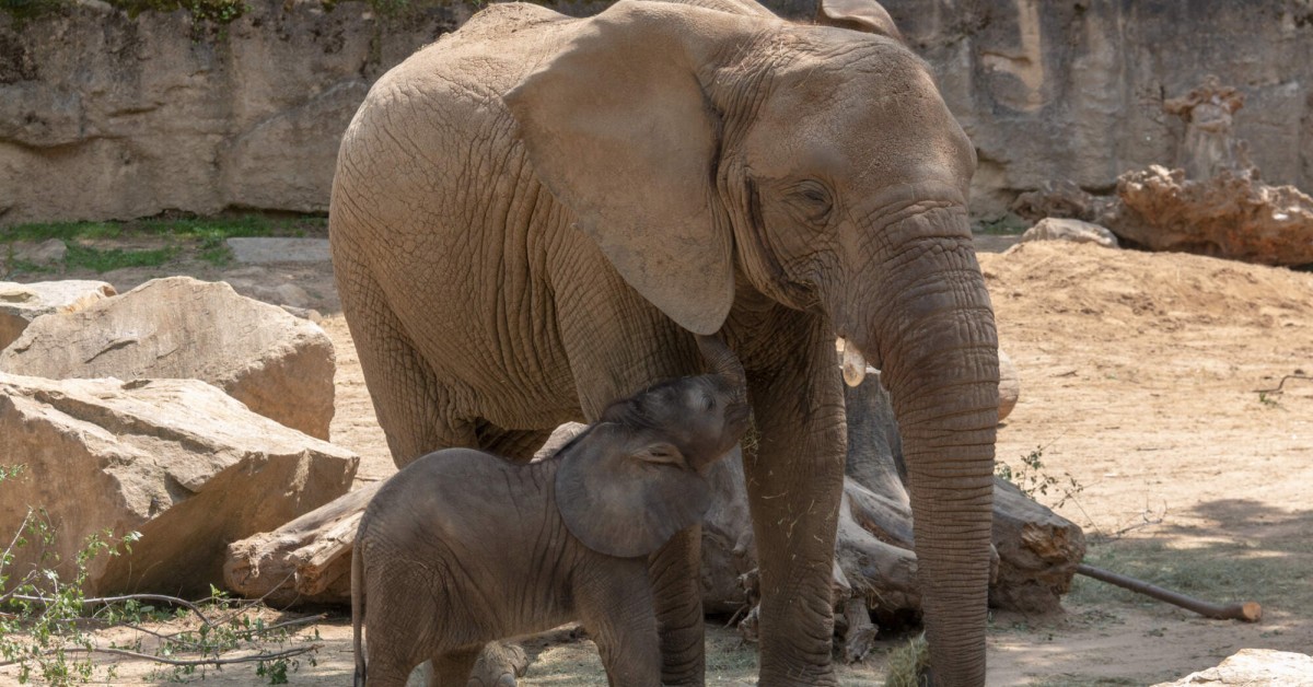 Zoo Zlín